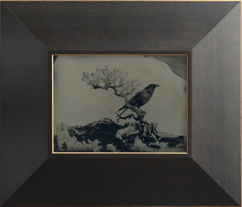 Yamamoto Masao,&nbsp;Untitled (AM #15), 2023. Unique collodion ambrotype, image size: 5 1/8 x 7 inches, frame size: 10 7/8 x 11 3/4 inches.
