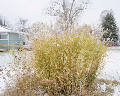 A Snow Day,&nbsp;2014. Archival pigment print. From the series&nbsp;From One Land to Another.