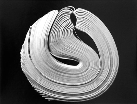 Kenneth Josephson,&nbsp;Chicago (88-4-9),​ 1988. Gelatin silver print, 13 7/8 x 17 3/4&nbsp;inches.&nbsp;