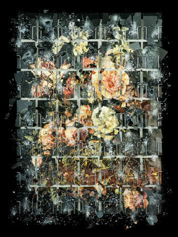 Flower 05&nbsp;(Rijksmuseum), 2021. Archival pigment print, 46 1/2 x 35 inches&nbsp;