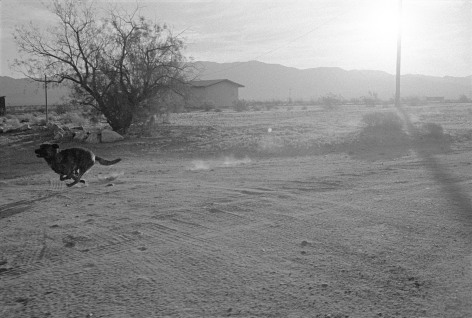 John Divola,&nbsp;D23F30, 1996-1998, from the series&nbsp;Dogs Chasing My Car in the Desert. Gelatin silver print, 24 1/4 x 30 inches.