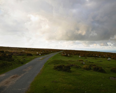 Common Land, Mynydd Dinas, Pembrokeshire Coast National Park, 2019. Chromogenic print, 86 x 70 inches.
