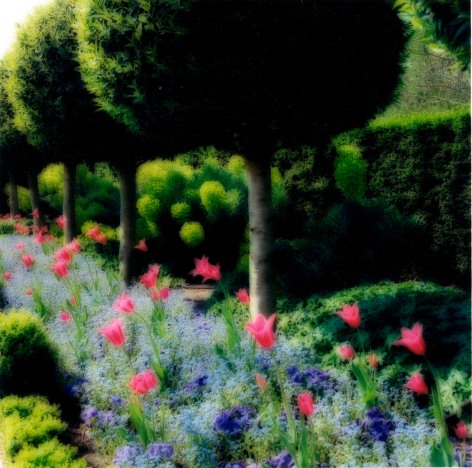 Parc de Sceaux, France (4-04-67c-7),&nbsp;2004,&nbsp;19 x 19,&nbsp;28 x 28,&nbsp;or 38 x 38 inch&nbsp;archival pigment print