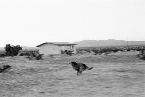 John Divola,&nbsp;D25F02, 1996-1998,&nbsp;from the series Dogs Chasing My Car in the Desert. Gelatin silver print, 24 1/4 x 30 inches.