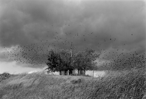Near Jefferson City, Tennessee&nbsp;1991&nbsp;Gelatin silver print, please inquire for available sizes