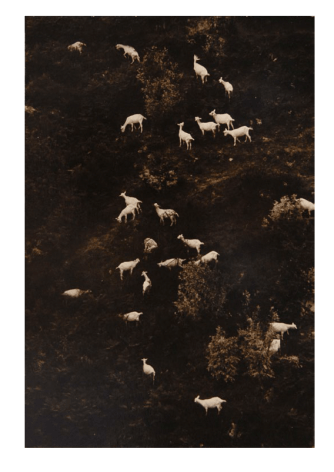Yamamoto Masao,&nbsp;Untitled #5022, 2021. Gelatin silver print. Image: 9 1/4 x 6 1/4 inches, frame: 17 x 14 inches.