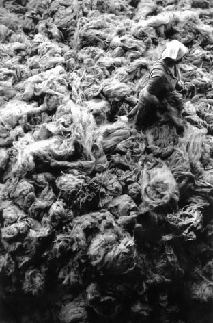 Raw Wool, Kazakhstan, from the series Workers 1991. 20 x 16, 24 x 20, 35 x 24, 50 x 36 or 68 x 50 inch gelatin silver print