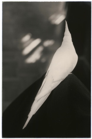 Untitled #1027 (from the series Nakazora), 2003, Gelatin silver print, Edition 21 of 40
