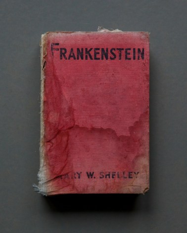 Frankenstein,&nbsp;from the series&nbsp;Reading Grey Gardens,&nbsp;2017. Archival pigment print, 20 3/4 x 17 inches.&nbsp;