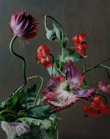 Photograph by Sharon Core of an arrangement of purple and red flowers.