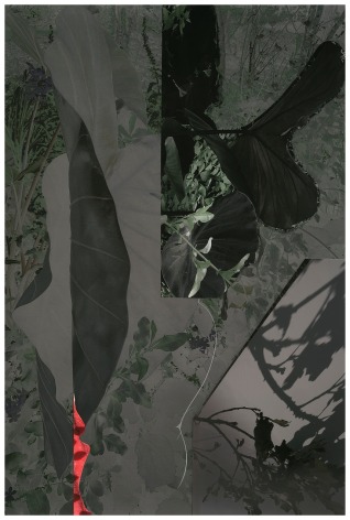 GD_289, 2019. Unique collaged archival pigment print with graphite, 37 1/8 x 26 3/8 inches.
