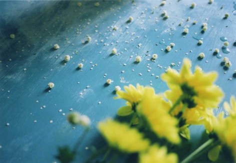 Baby&#039;s Breath,&nbsp;2003, chromogenic print, available 30 x 40 inches, edition of 10