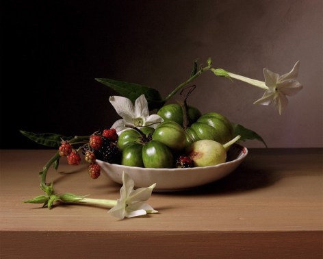 Early American, Still Life with Flowering Tobacco,&nbsp;2009. Chromogenic print,&nbsp;14 x 18 3/4&nbsp;inches.