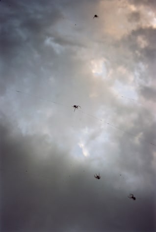 Forest #25, Untitled (Tightrope Walker),&nbsp;2001, 10.5 x 7 inch chromogenic color print