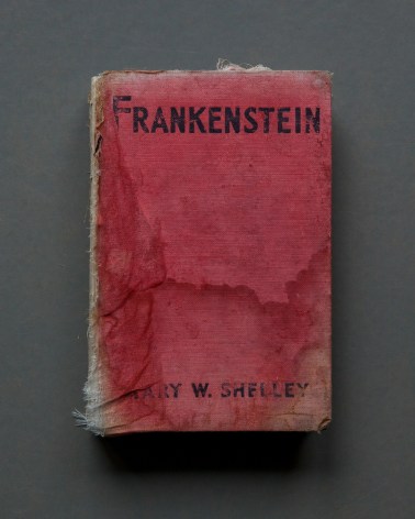 Mary Ellen Bartley,&nbsp;Frankenstein from the series&nbsp;Reading Grey Gardens. Archival pigment print,&nbsp;18 3/4&nbsp;x 15 inches.