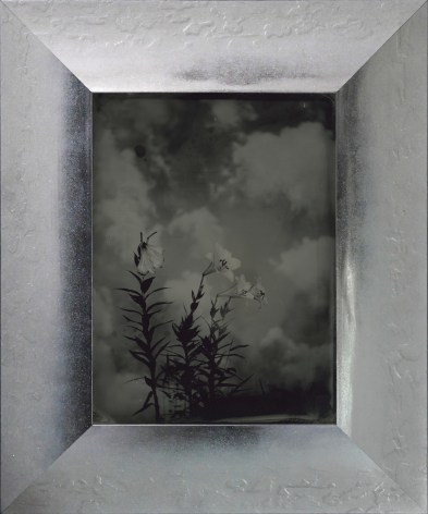 Yamamoto Masao,&nbsp;Untitled (AM #70), 2023. Unique collodion ambrotype, image size: 7 x 5 1/8 inches, frame size: 10 11/16 x 8 7/8 inches.