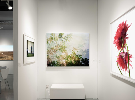 Installation view, Yancey Richardson at The Photography Show, presented by AIPAD, 2023.