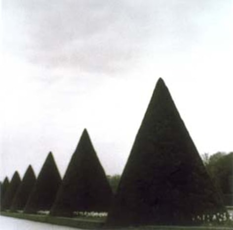 Parc de Jeurre, Etampes, France (4-99-45-12 #10), 1999,&nbsp;19 x 19,&nbsp;28 x 28,&nbsp;or 38 x 38 inch&nbsp;archival pigment print