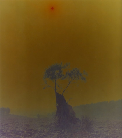 Blaze, Untitled 2, 2003-2004, 47 1/4 x 47 1/4 archival pigment print