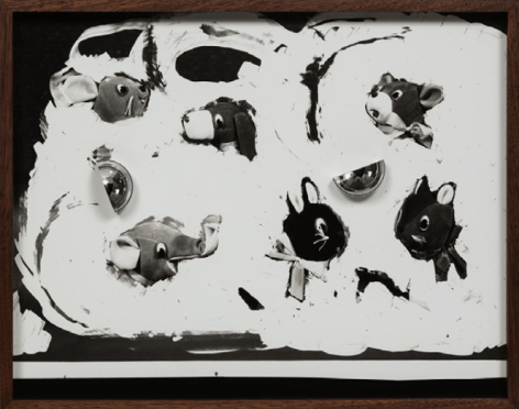 Elad Lassry,&nbsp;Untitled (Velveteen Animals),&nbsp;2014. Gelatin silver print, walnut frame, stainless steel,, 11 1/2 x&nbsp;14 1/2 x&nbsp;1 3/4 inches.