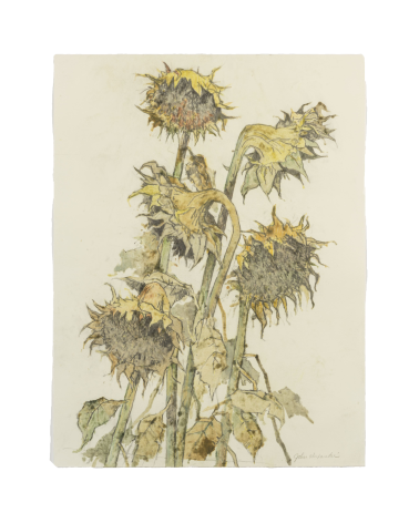 John Alexander Sunflowers, Light Autumn, 2012 monotype from steel and aluminum plates with hand-coloring paper: 23 x 17 3/4 inches frame: 31 x 25 1/4 inches