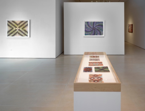 Installation view, MARA HELD | GATES OF CILICIA, McClain Gallery, Houston, TX, February 2021