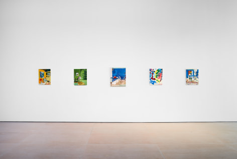 Tim Braden: The Colouring Garden Installation View