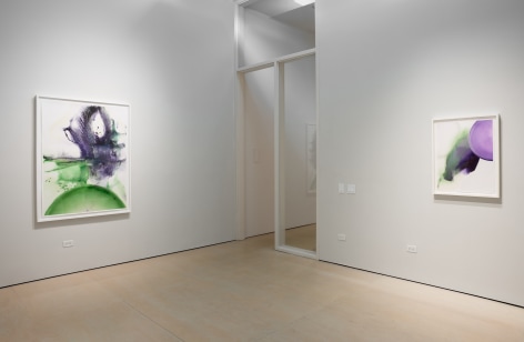 Angelina Nasso: Venus Sequence Installation View