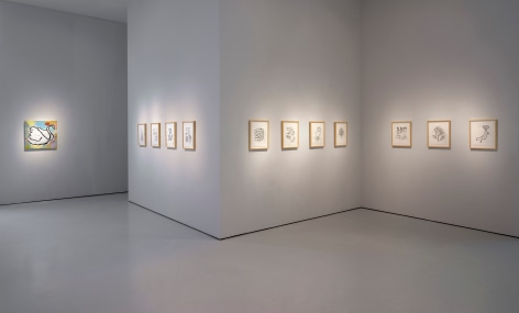 Installation image from Donald Baechler: The Remedy of Everything at McClain Gallery, 2021