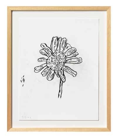 Donald Baechler Flower, 2021 graphite on Strathmore Archival Bond paper paper: 14 x 11 inches frame: 17 5/16 x 14 1/4 inches