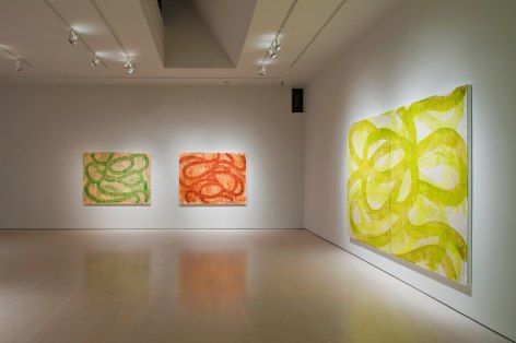 Installation of view of David Row's exhibition Morphology, McClain Gallery, 2010.