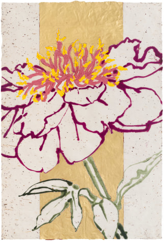 Robert Kushner Green's Treat Peony II, 2024 oil, acrylic, gold leaf and conte crayon on Japanese Paper 36 x 25 inches