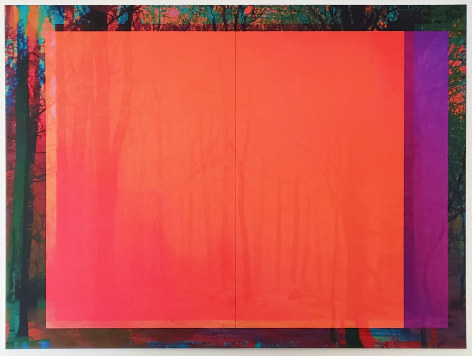 Christian Eckart Forest 1, 2022 unique archival digital print on stretched canvas 88.5 x 124 inches