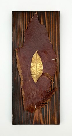 Salle Werner Vaughn A Touch of Daphne, 2020 shou sugi ban, palm bark, golden leaf