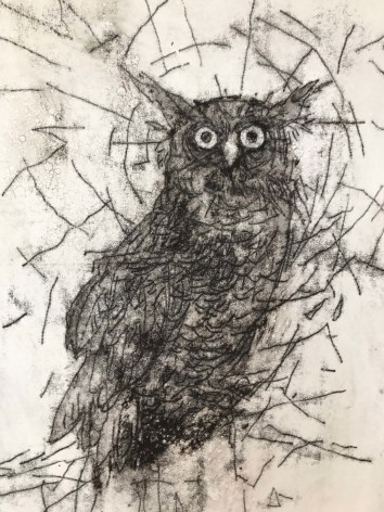 John Alexander  Electric Owl, 2017  monotype on Fabriano Rosaspina paper  39 x 27 1/2 inches