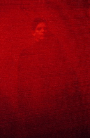 Anne Deleporte  Freud (#5), 2002  print on polyester paper  52 x 78 1/2 inches