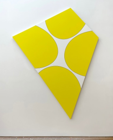 Aaron Parazette Superfly, 2017 acrylic on canvas 91 x 70 1/2 inches