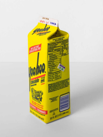 Jonathan Seliger  Yoo-hoo, 1995  Villa e Collezione Panza, Varese, Italy