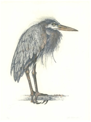John Alexander Angry Heron, 2000 color lithograph 29 1/2 x 21 5/8 inches Edition of 35 signed bottom right front; numbered bottom left front
