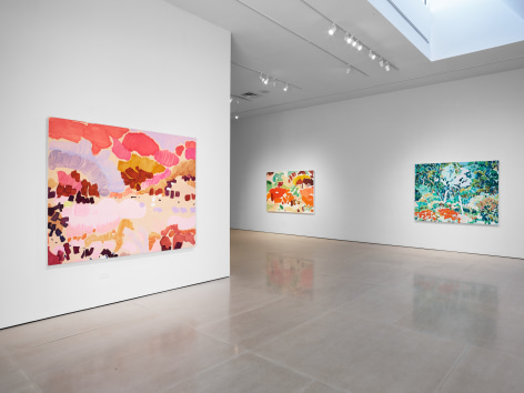 Tim Braden: The Colouring Garden Installation View