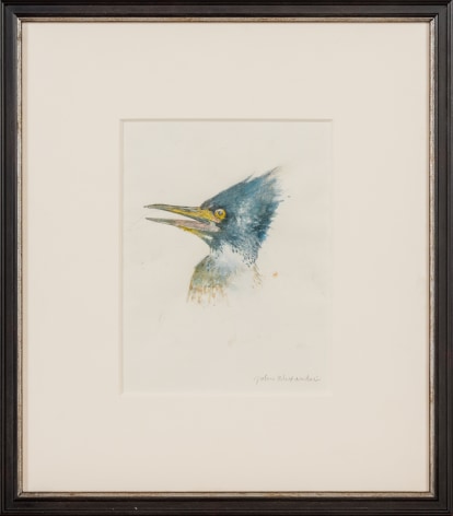 John Alexander Kingfisher Looking for a Mate, 2014 watercolor and graphite on paper paper: 9 x  7 inches frame: 16 x 14 inches