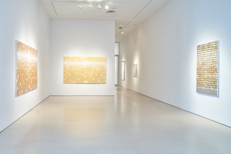 Installation view of Particles of Light, July 2019, McClain Gallery, Houston, TX