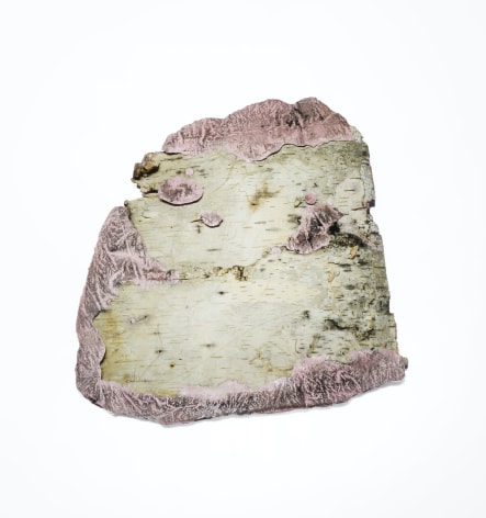 Sari Dienes Pink Birch, c. 1950s plaster and birch bark collage 12 x 11 1/2 inches