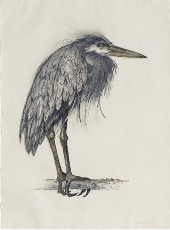 John Alexander Angry Heron, 2000 color lithograph 29 1/2 x 21 5/8 inches Edition of 35