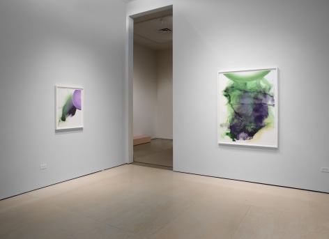 Installation view of Angelina Nasso: Venus Sequence