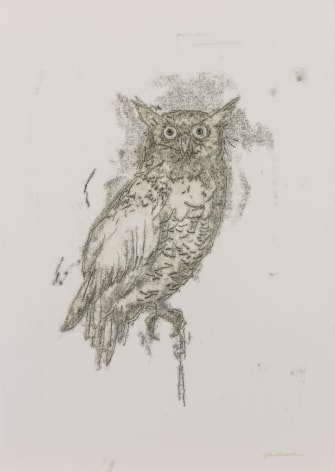John Alexander Startled Owl, 2017 monotype on Fabriano Rosaspina paper 39 x 27 1/2 inches signed bottom right front (JoA-178)