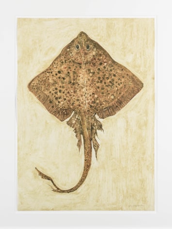 John Alexander Tan Skate, 2012 monotype from steel and aluminum plates with hand-coloring paper: 36 x 25 1/2 inches frame: 43 1/2 x 33 inches signed bottom right front (JoA-165) $15,000