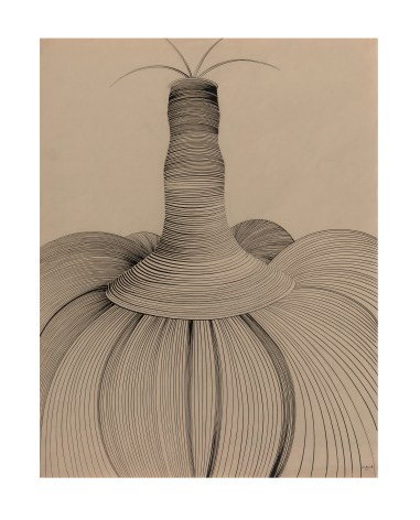 Dorothy Hood Fetish Plant, 1967 pen and ink on gray Canson paper paper: 25 1/4 x 19 1/2 inches frame: 30 13/16 x 24 9/16 x 1 1/2 inches