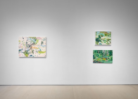 Tim Braden: The Colouring Garden Installation View