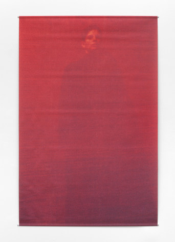 Anne Deleporte Freud (#1), 2002 print on polyester paper 52 x 78 1/2 inches